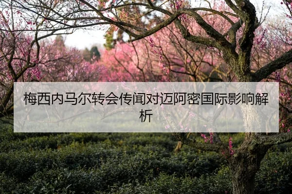 梅西内马尔转会传闻对迈阿密国际影响解析